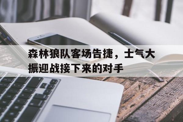 森林狼队客场告捷，士气大振迎战接下来的对手的简单介绍